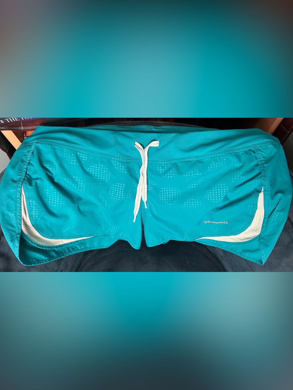 Patagonia Turquoise Athletic Swim Shorts with White Drawstring